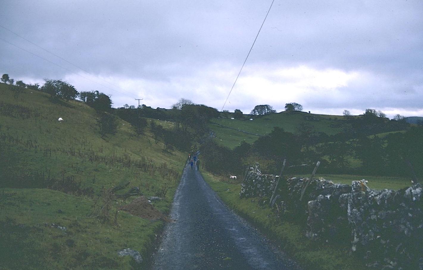 Another Dove Valley Road
