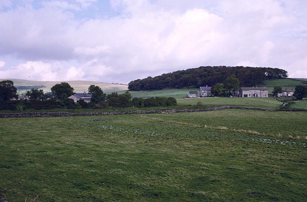Approaching Peak Forest