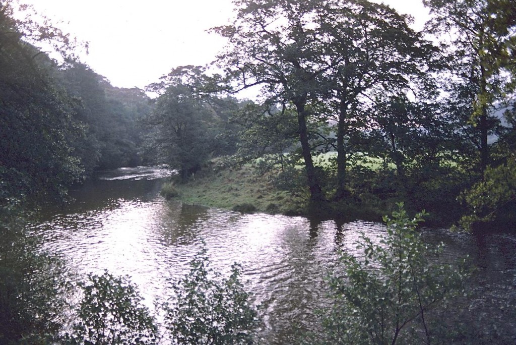 The Derwent near Harper Lees