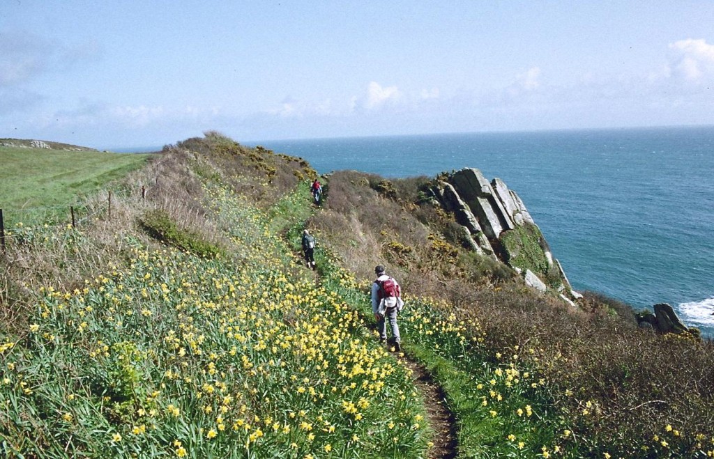 Boscawen Point