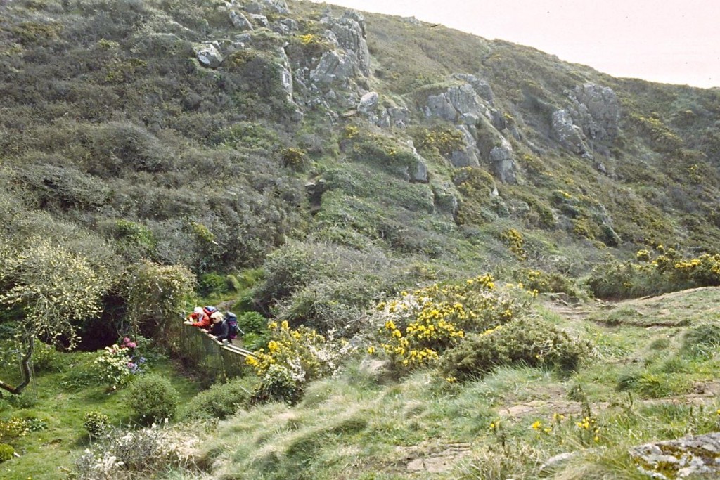 At the stream south of Spernic Cove