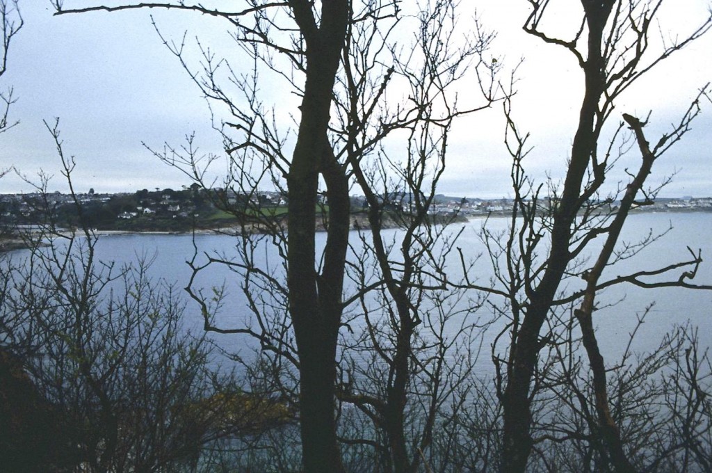 Swanpool