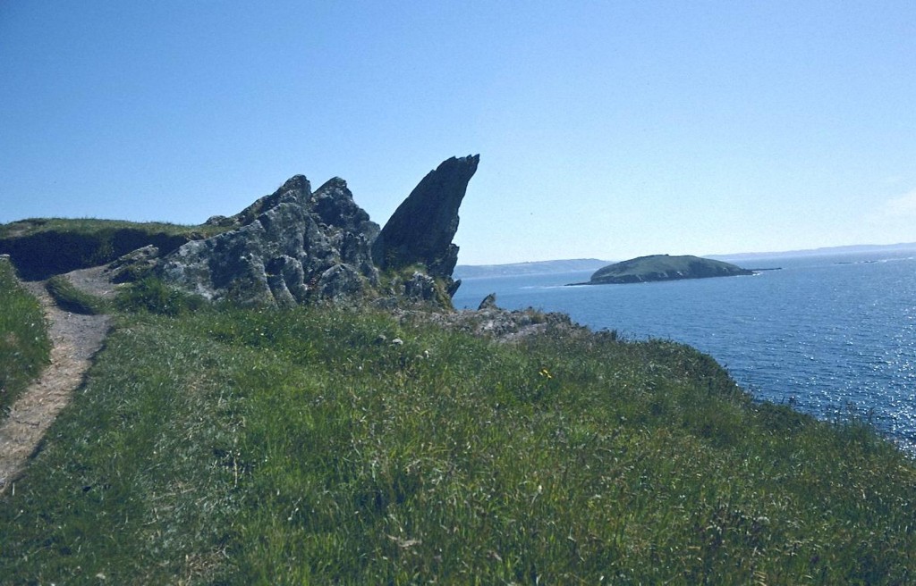 Looe Island