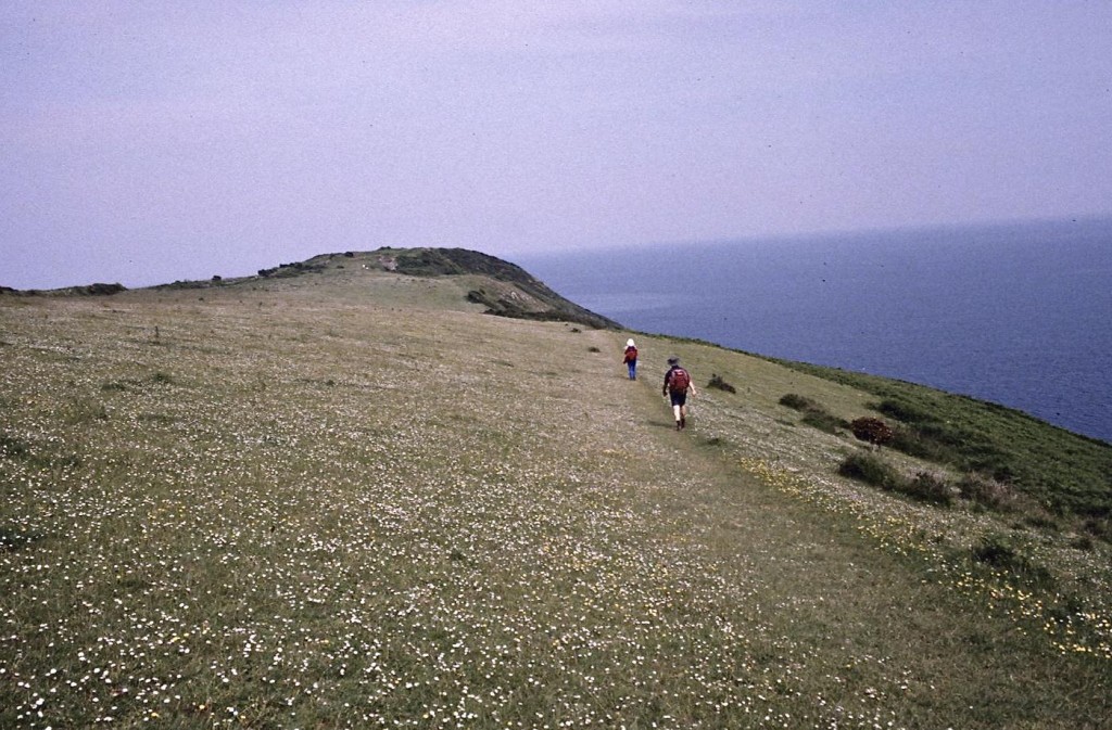 At Sharkham Point