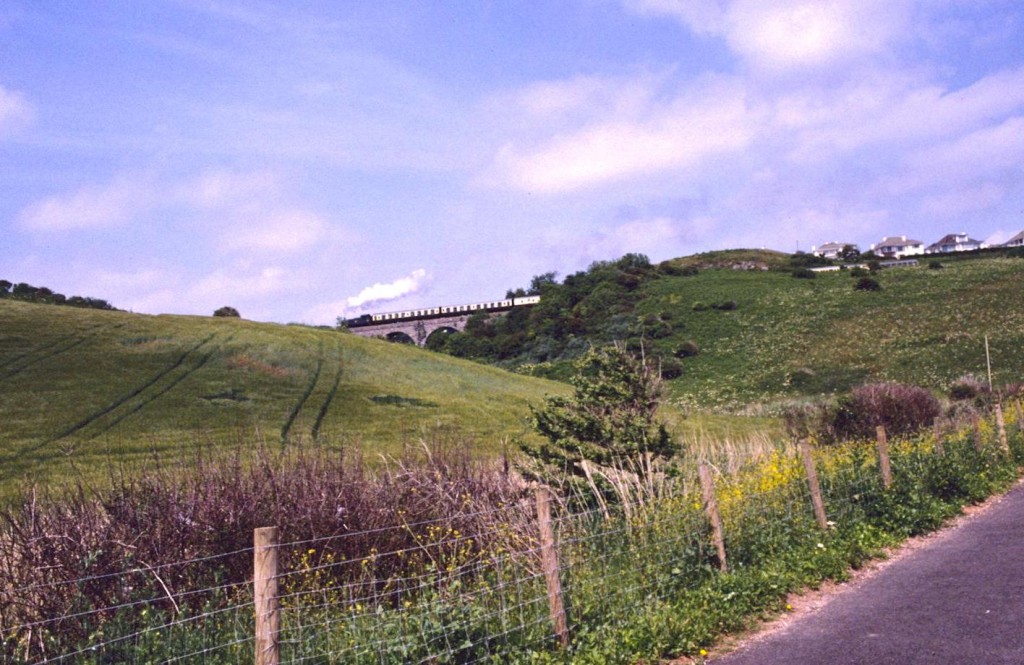The steam railway from Broadsands
