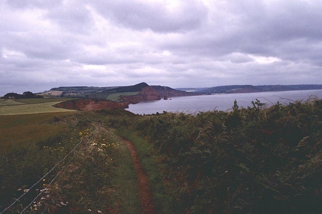 Ladram Bay