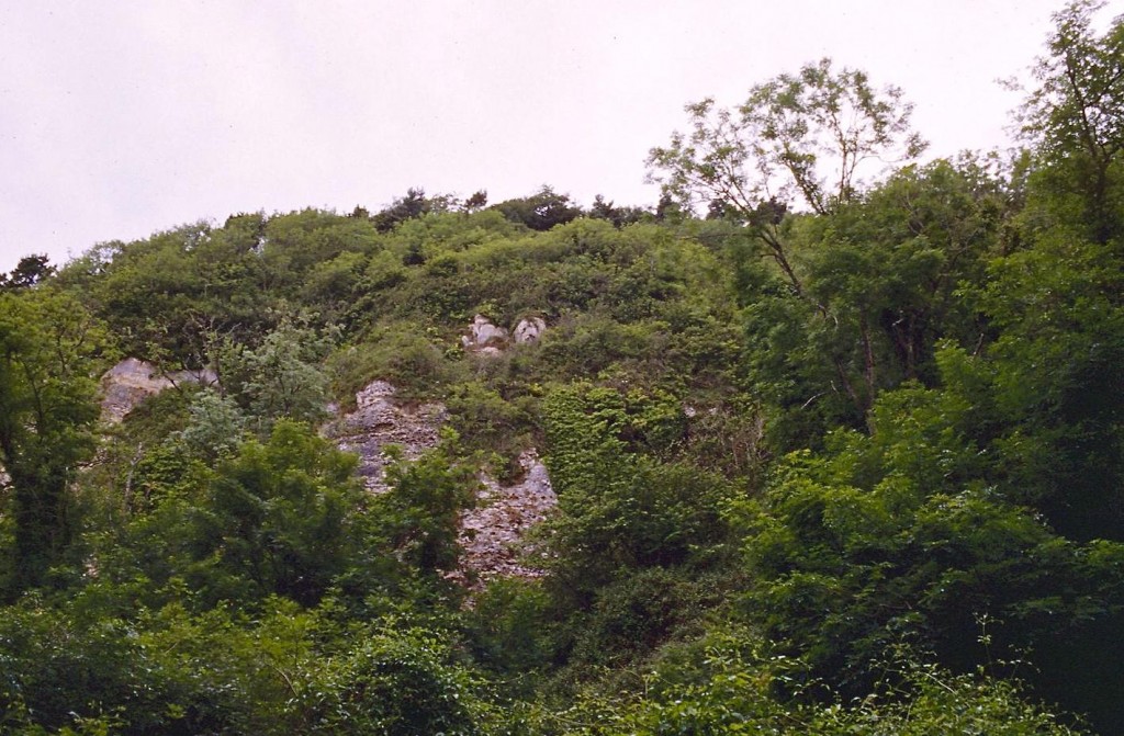 In the undercliff
