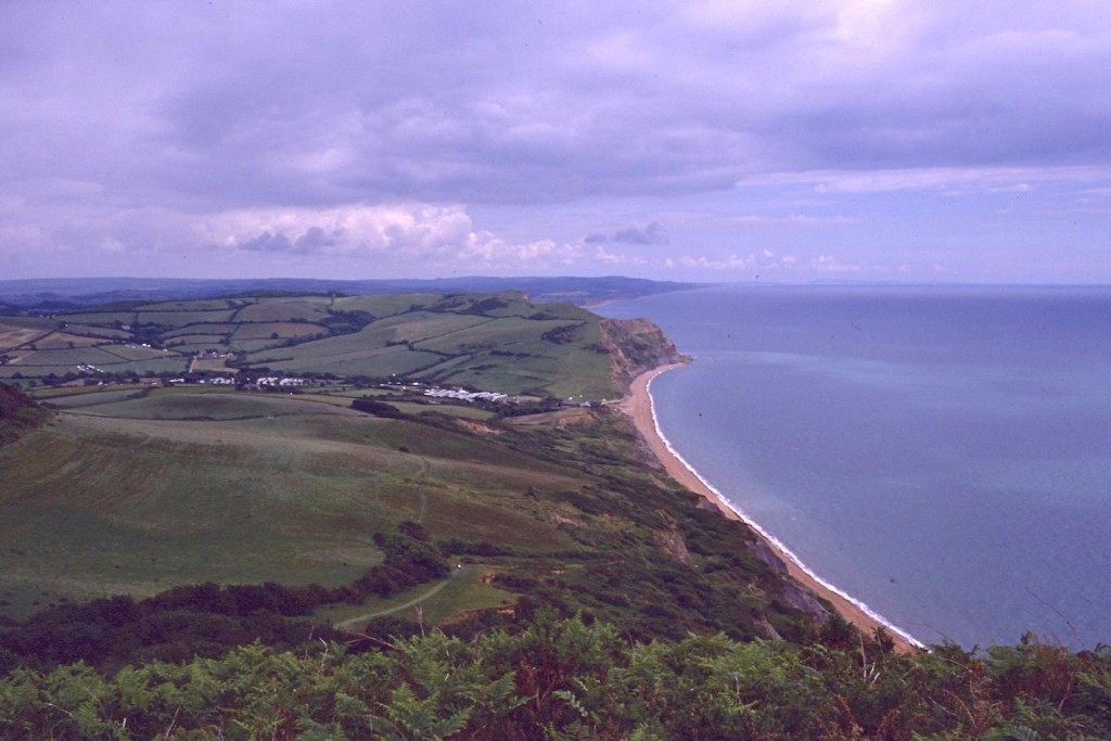 Seatown from Golden Cap