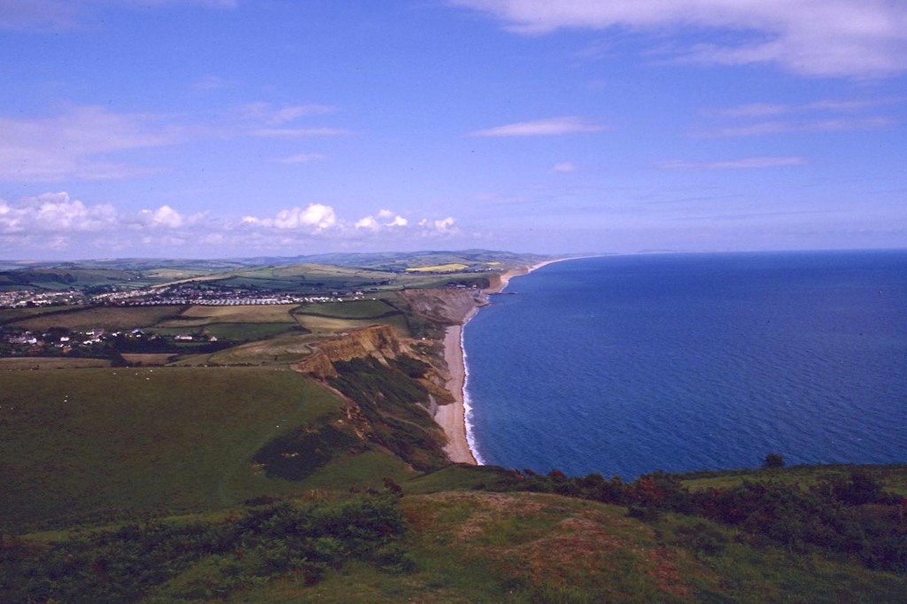 West Bay from Thorncombe Beacon