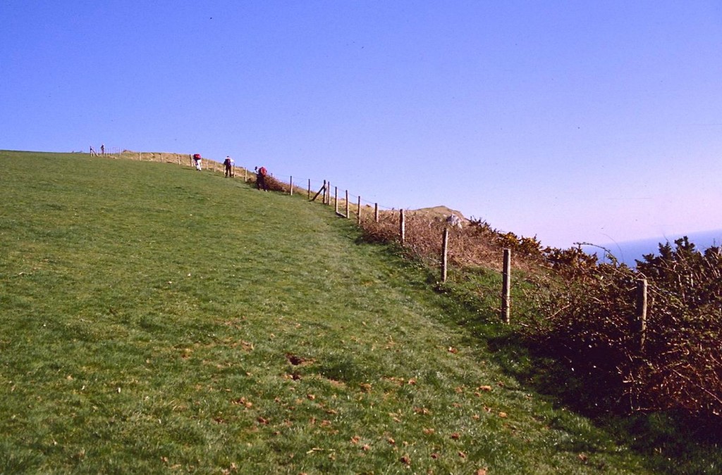 Climbing White Nothe