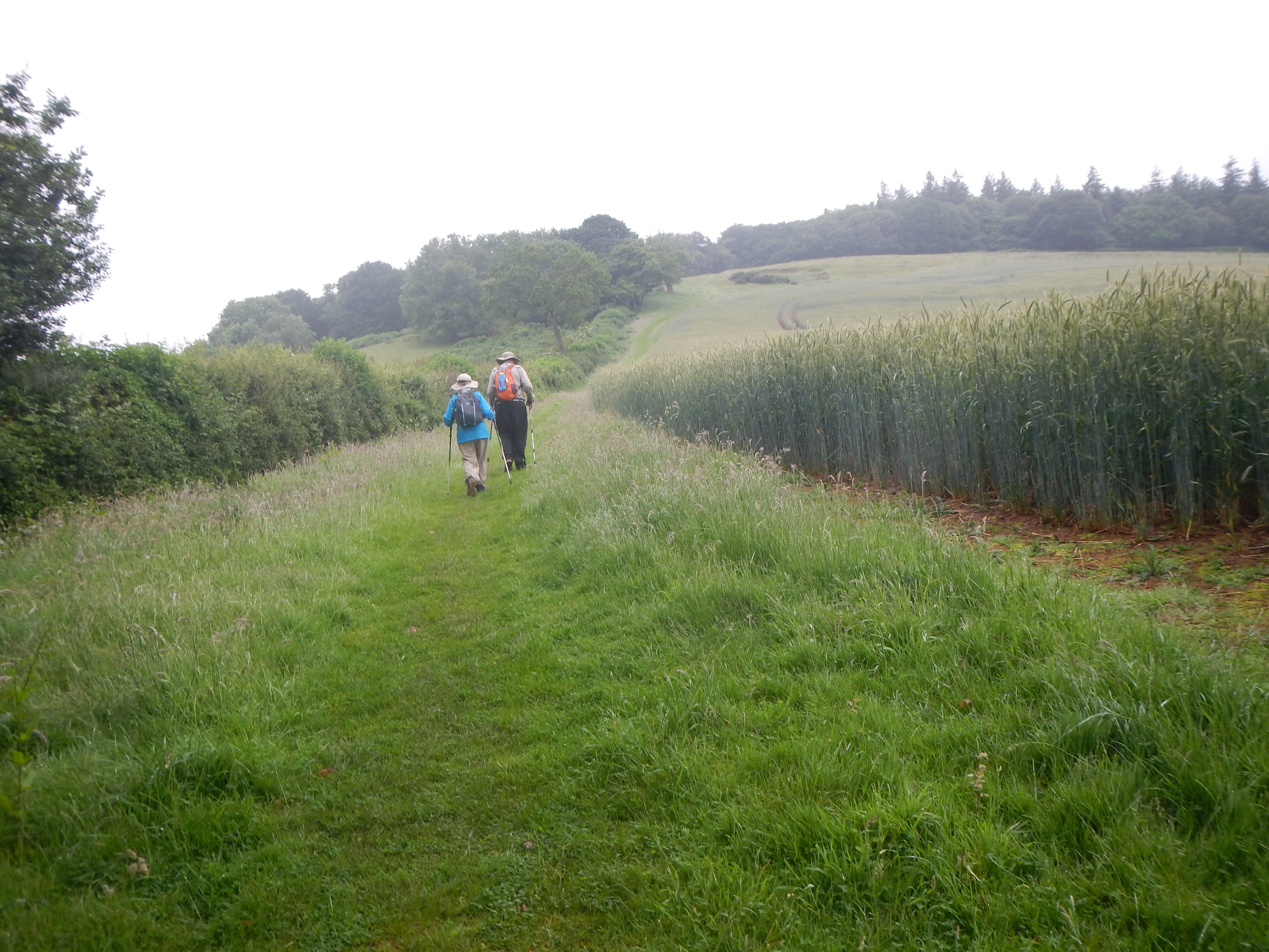 The first steep climb of the trip will bring us to Walford’s Gibbet.