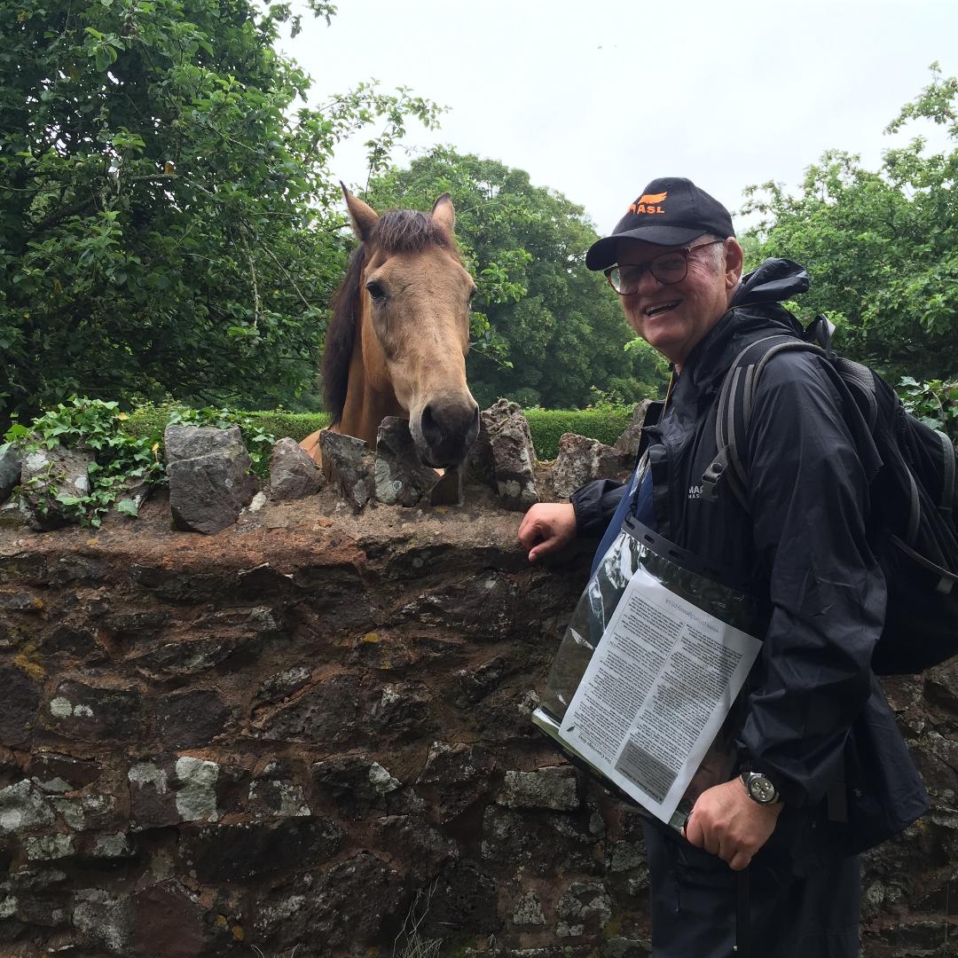 I make friends with a horse in Holford.