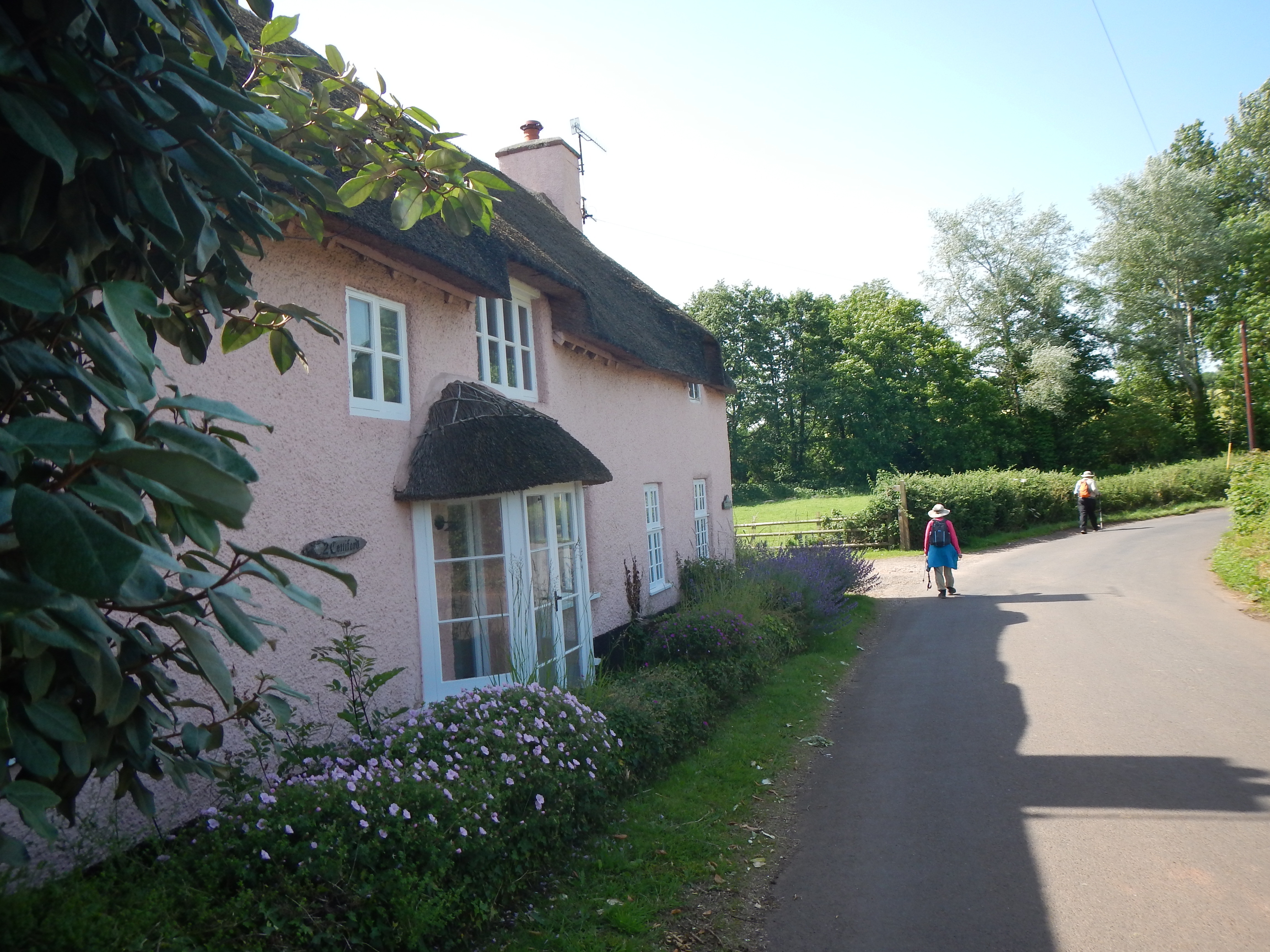 As we cross the valley bottom on the way to Monksilver this delightful thatched cottage appears on our left.