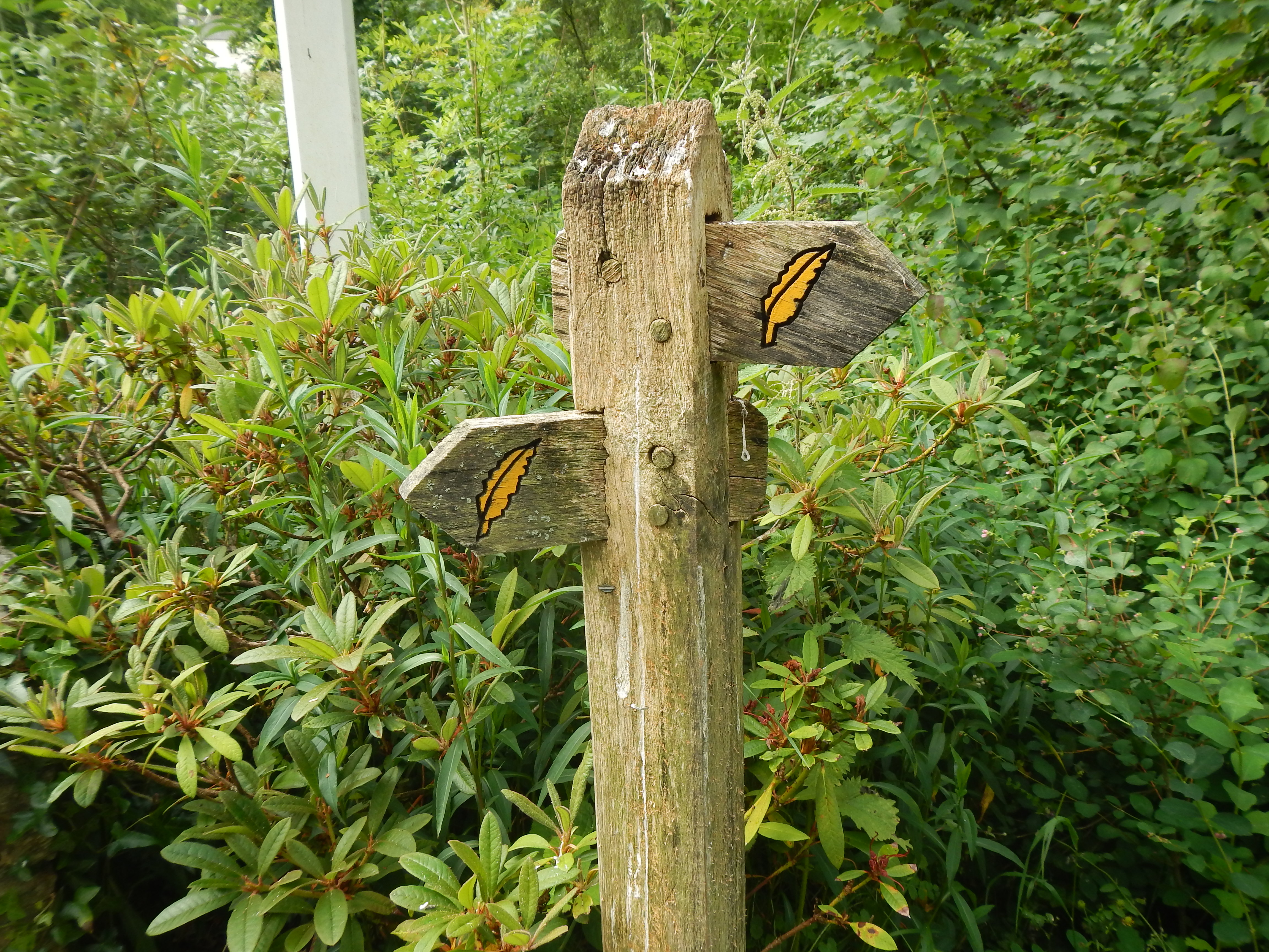 The quill pen is used as an appropriate waymarking symbol on The Coleridge Way.