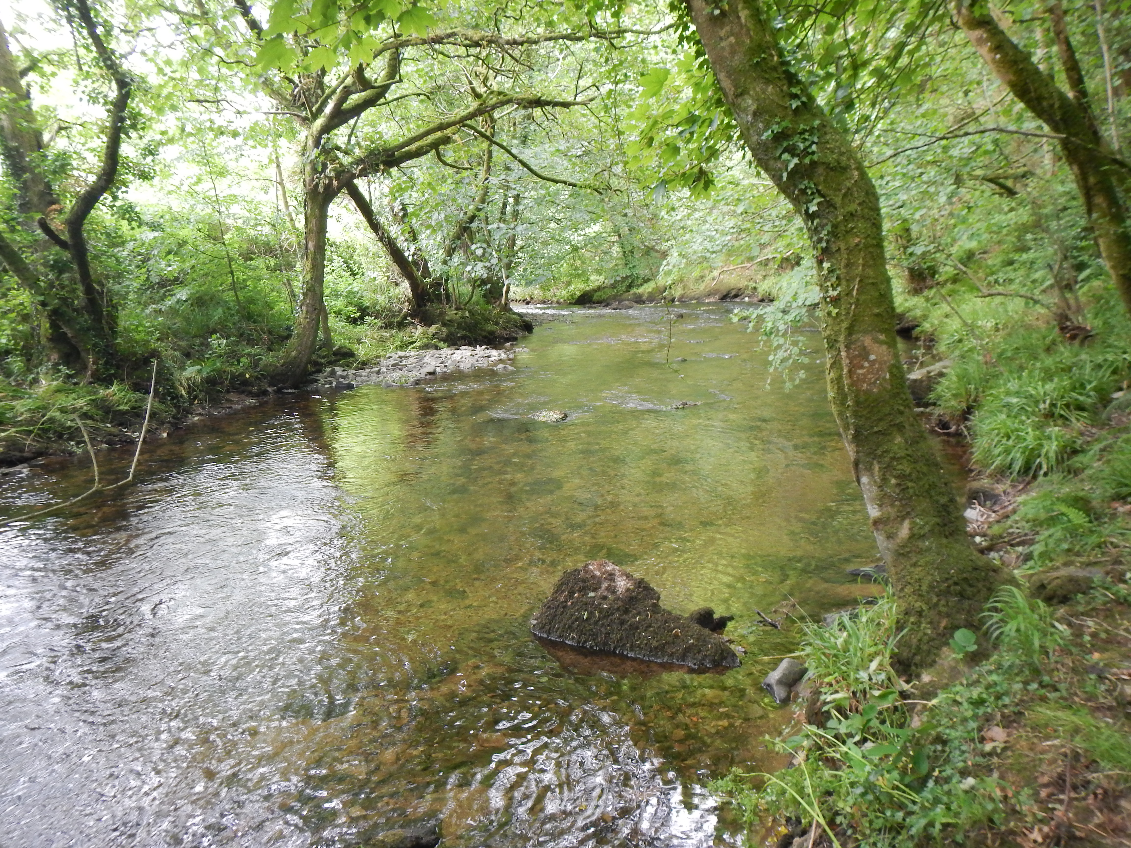 The East Lyn River enjoys a placid moment.