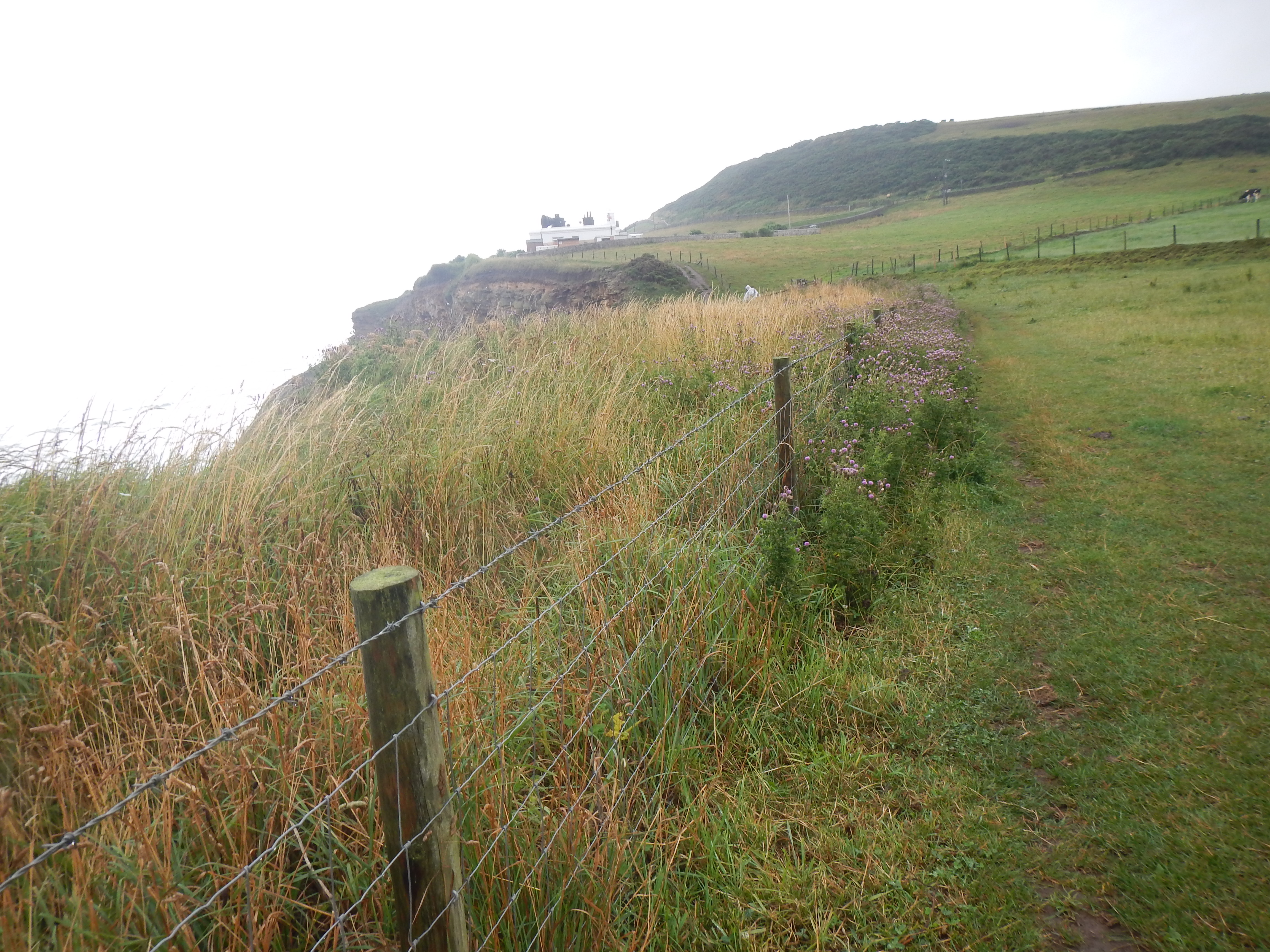 Fog Horn and Lighthouse at Whitestone Point.
