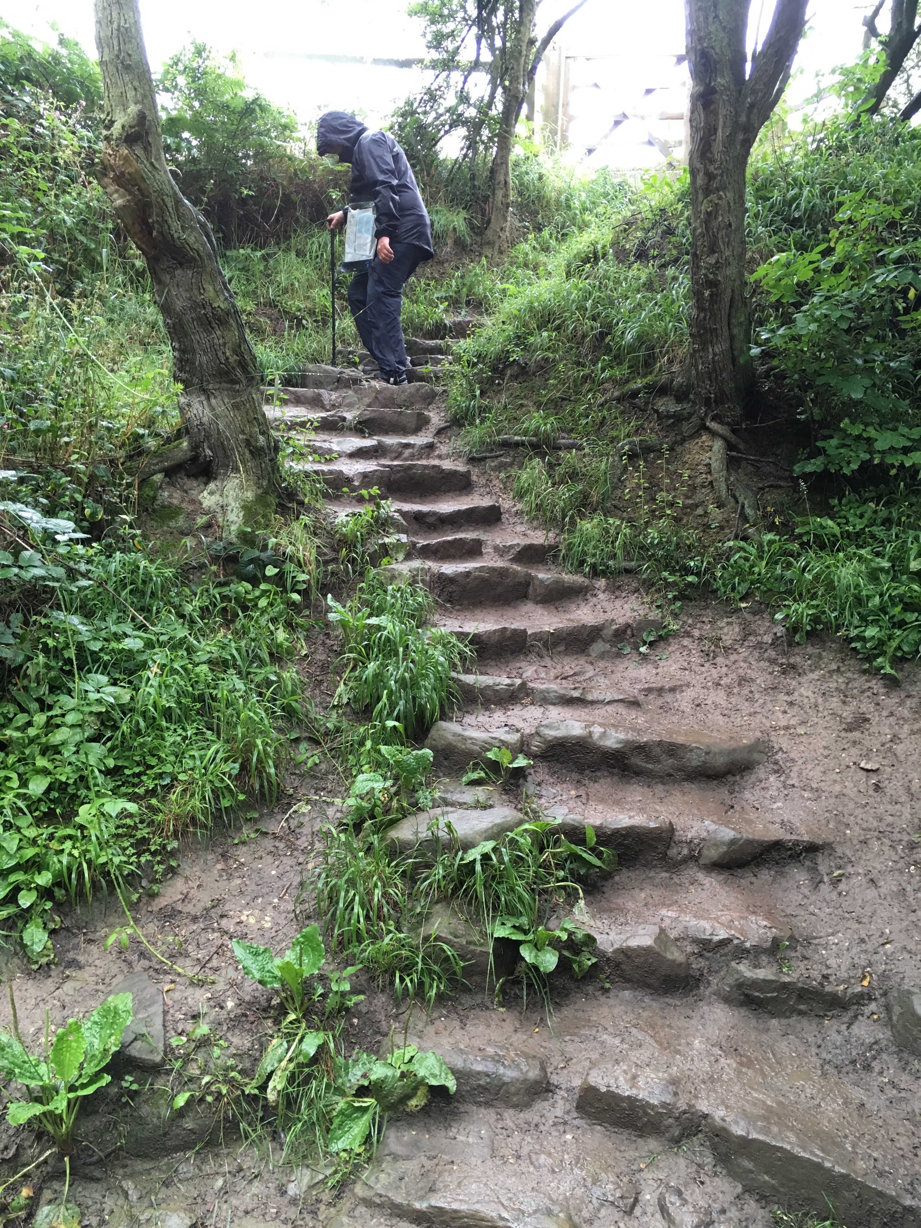 The approach to Robin Hood’s Bay involves several stream crossings and a footpath that can turn to treacherous paste after rain – as I would soon find out.