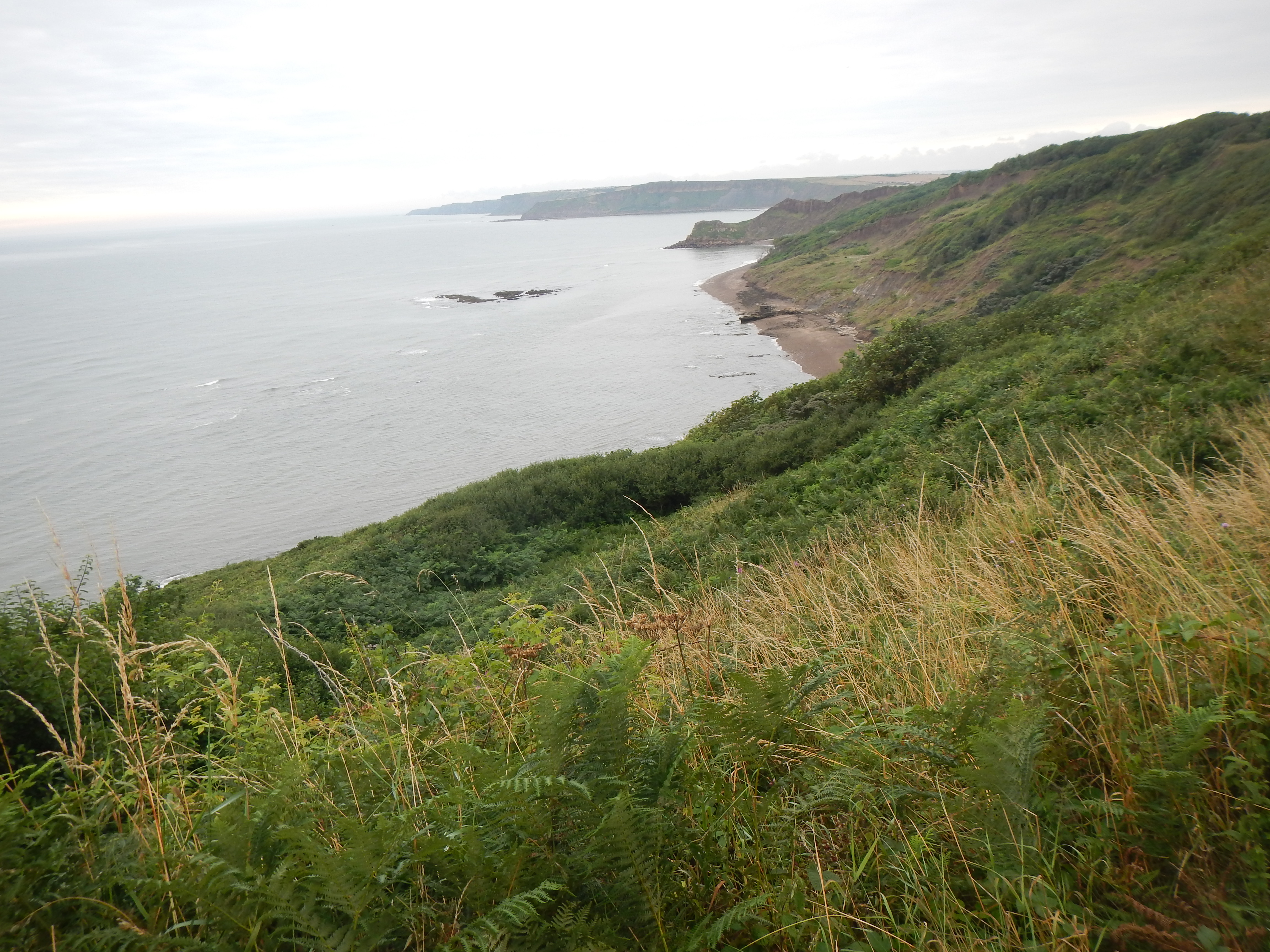 Near Knipe Point.