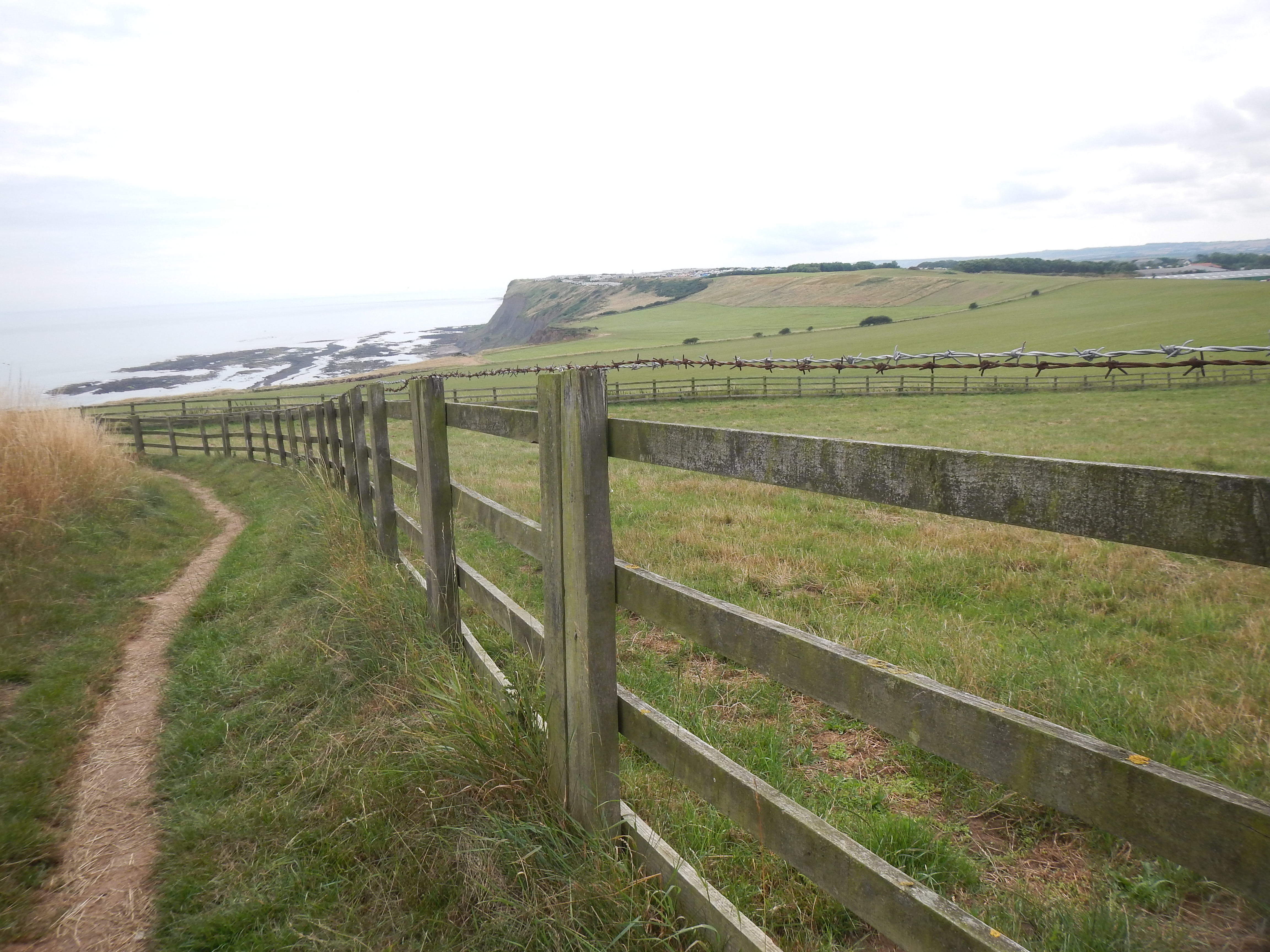 Near Lebberston Cliff.