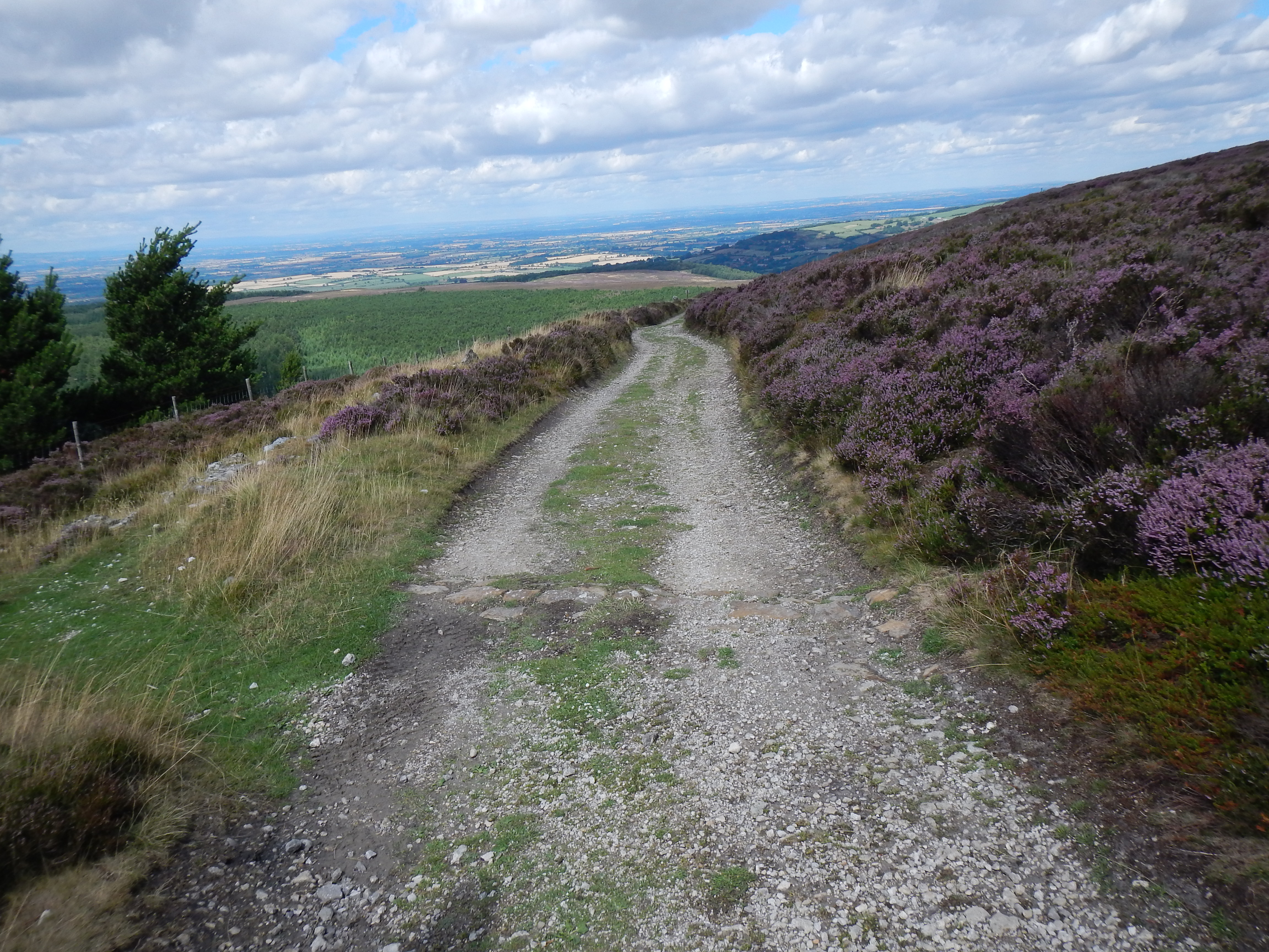 The Drove Road approaches Square Corner.
